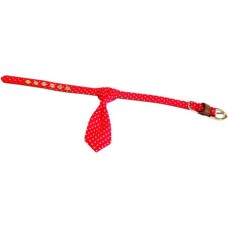 Croci περιλαίμιο pop roy 2x40cm Croci περιλαίμιο pop roy 2x40cm