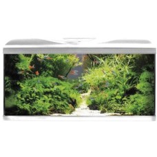 Croci Amtra ενυδρείο system 80 led λευκό 80X32X48cm Croci Amtra ενυδρείο system 80 led λευκό 80X32X48cm