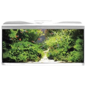 Croci Amtra ενυδρείο system 80 led λευκό 80X32X48cm