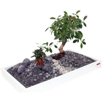 Croci Wave zen artis λευκός δίσκος ενυδρείου 60x40x7cm Croci Wave zen artis λευκός δίσκος ενυδρείου 60x40x7cm