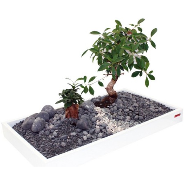 Croci Wave zen artis λευκός δίσκος ενυδρείου 60x40x7cm Croci Wave zen artis λευκός δίσκος ενυδρείου 60x40x7cm