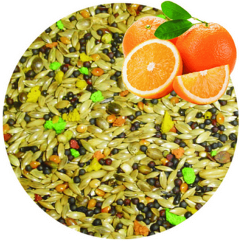 Professional mix Vita-C κελαϊδίνη με βιταμίνη C,για καναρίνια Professional mix Vita-C κελαϊδίνη με βιταμίνη C,για καναρίνια