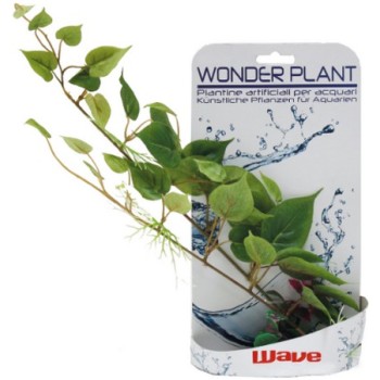 Croci Wave Wonder διακοσμητικά φυτά series d 25-40cm Croci Wave Wonder διακοσμητικά φυτά series d 25-40cm