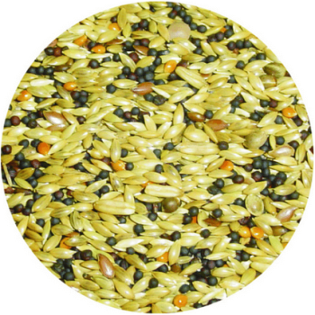 Professional mix κελαϊδίνη biscuit free - χωρίς μπισκότο για καναρίνια Professional mix κελαϊδίνη biscuit free - χωρίς μπισκότο για καναρίνια