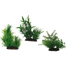 Croci Wave Japanese διακοσμητικά φυτά set 2 series 15cm