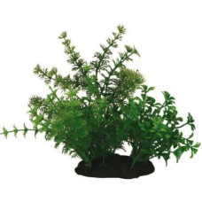 Croci Wave Japanese διακοσμητικά φυτά set 2 series 15cm Croci Wave Japanese διακοσμητικά φυτά set 2 series 15cm