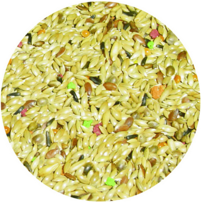Professional mix κελαϊδίνη rapeseed free & biscuit - χωρίς ρουπσεν με μπισκότο για καναρίνια 20kg