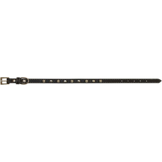 Croci Leather περιλαίμιο σκύλου with studs black 2,5x50 cm. Croci Leather περιλαίμιο σκύλου with studs black 2,5x50 cm.