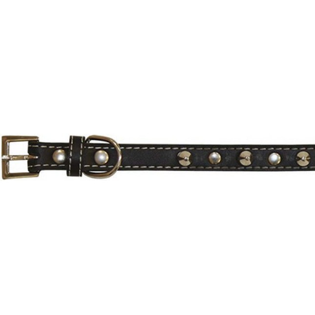 Croci Leather περιλαίμιο σκύλου with studs black 2,5x50 cm. Croci Leather περιλαίμιο σκύλου with studs black 2,5x50 cm.