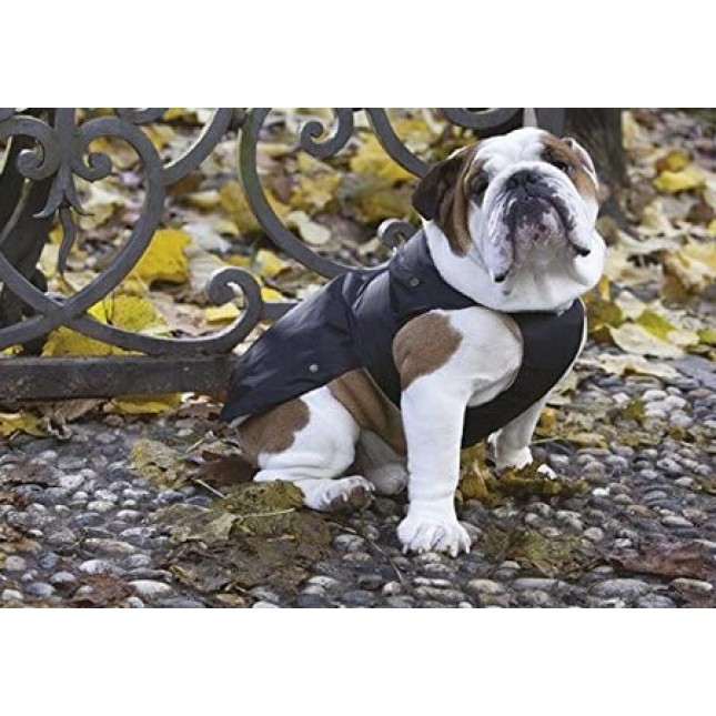 Croci μαύρο μπουφάν bulldog 47cm Croci μαύρο μπουφάν bulldog 47cm