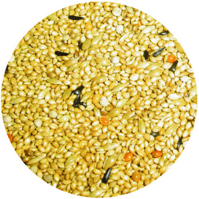 Professional mix τροφή premium exotic για παραδείσια Professional mix τροφή premium exotic για παραδείσια
