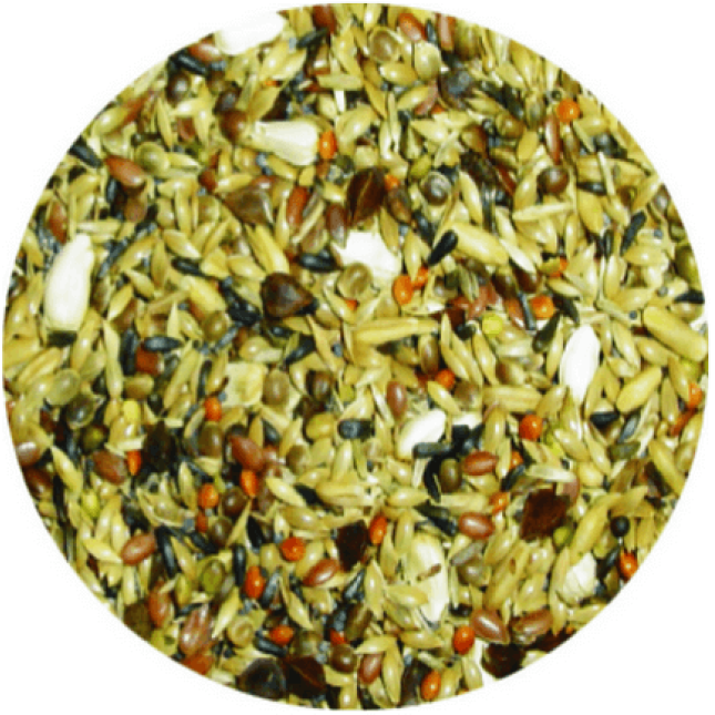 Professional mix τροφή carduelis χωρίς ηλιόσπορους 1kg Professional mix τροφή carduelis χωρίς ηλιόσπορους 1kg
