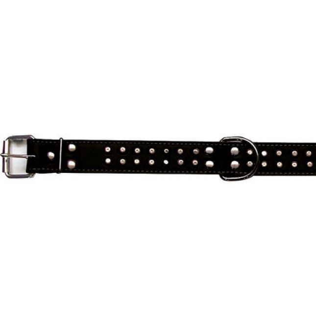 Croci Double studded περιλαίμιο σκύλου black 50x2cm Croci Double studded περιλαίμιο σκύλου black 50x2cm