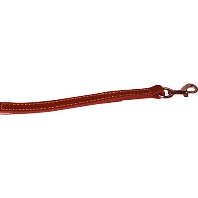 Croci Guinzaglio class οδηγός σκύλου foderato rosso 45x1,5cm Croci Guinzaglio class οδηγός σκύλου foderato rosso 45x1,5cm