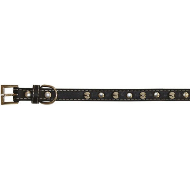 Croci Leather περιλαίμιο σκύλου with studs black