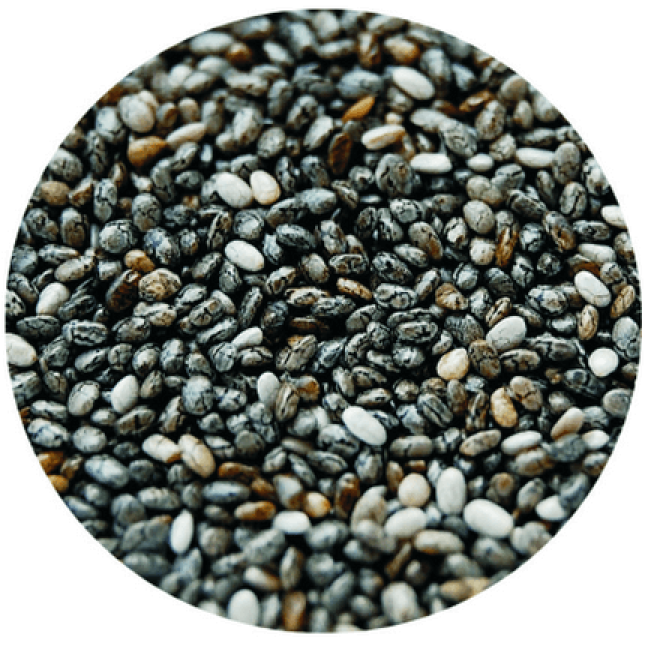Σπόρος Chia για ωδικά Σπόρος Chia για ωδικά