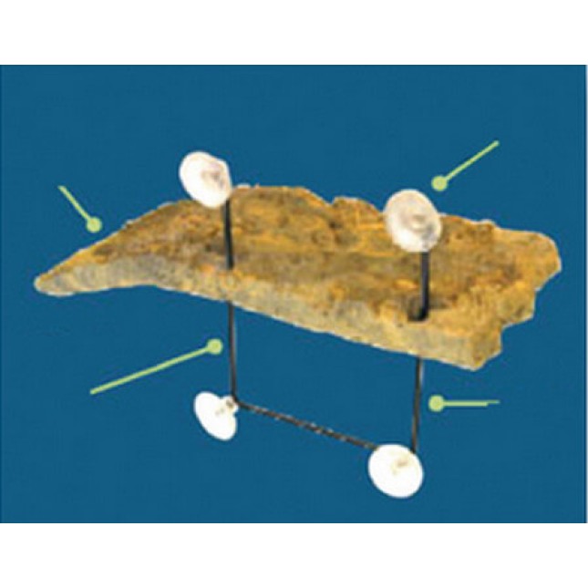 Croci zoomed Isola turtle dock βεντούζες ric.pz.4 Croci zoomed Isola turtle dock βεντούζες ric.pz.4
