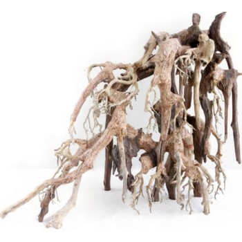 Croci Wood oriental φυσικό ξύλο wind 1 Croci Wood oriental φυσικό ξύλο wind 1