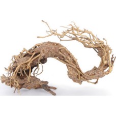 Croci Wood oriental φυσικό ξύλο wind 2 sm Croci Wood oriental φυσικό ξύλο wind 2 sm