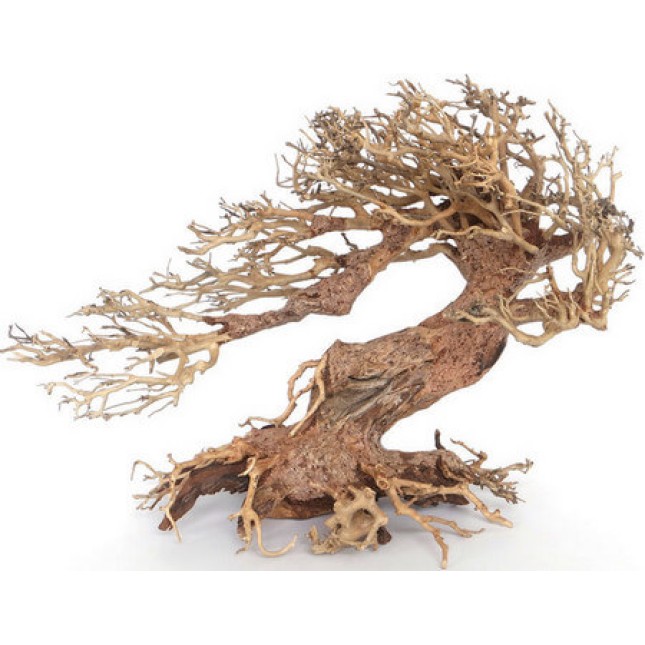 Croci Wood oriental φυσικό ξύλο wind 3 md Croci Wood oriental φυσικό ξύλο wind 3 md