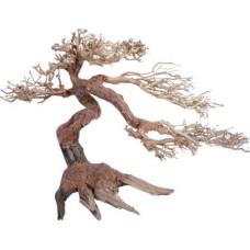 Croci Wood oriental φυσικό ξύλο wind 5 sm Croci Wood oriental φυσικό ξύλο wind 5 sm