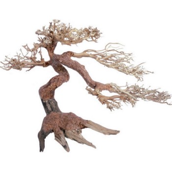 Croci Wood oriental φυσικό ξύλο wind 5 sm Croci Wood oriental φυσικό ξύλο wind 5 sm