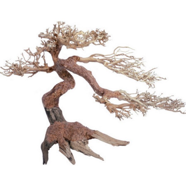 Croci Wood oriental φυσικό ξύλο wind 5 sm Croci Wood oriental φυσικό ξύλο wind 5 sm