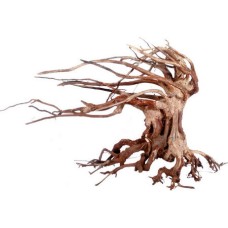 Croci Wood oriental φυσικό ξύλο wind 6 md Croci Wood oriental φυσικό ξύλο wind 6 md