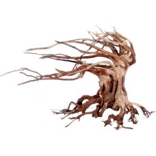 Croci Wood oriental φυσικό ξύλο wind 6