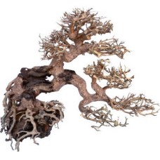 Croci Wood oriental φυσικό ξύλο wind 7 sm Croci Wood oriental φυσικό ξύλο wind 7 sm