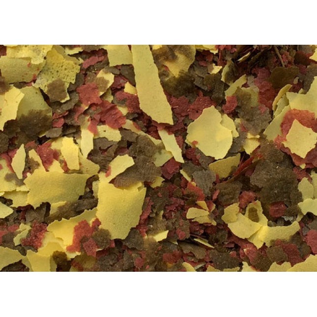 Amtra Pro Oranda Flake πλήρης τροφή για χρυσόψαρα σε μορφή νιφάδων Amtra Pro Oranda Flake πλήρης τροφή για χρυσόψαρα σε μορφή νιφάδων