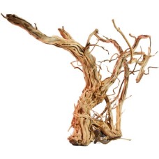 Croci ξύλινο διακοσμητικό dragon skin sm 40-60cm Croci ξύλινο διακοσμητικό dragon skin sm 40-60cm
