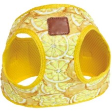 Croci σαμαράκι lemon xs 24-32cm Croci σαμαράκι lemon xs 24-32cm