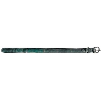 Croci δερμάτινο κολάρο lawrence 2x35cm Croci δερμάτινο κολάρο lawrence 2x35cm