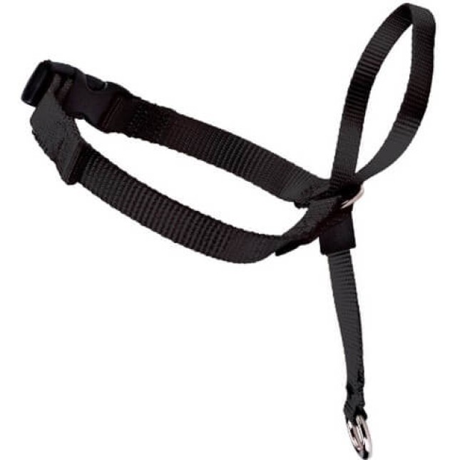 Croci κολάρο halter easy walk md μαύρο Croci κολάρο halter easy walk md μαύρο