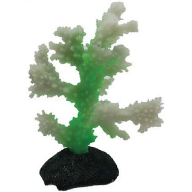 OceanMax Διακοσμητικό φωσφοριζέ 10x5.5x13cm OceanMax Διακοσμητικό φωσφοριζέ 10x5.5x13cm