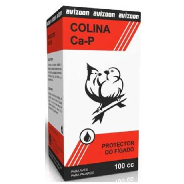 Avizoon colina Ca-P για ηπατικά προβλήματα 100ml Avizoon colina Ca-P για ηπατικά προβλήματα 100ml
