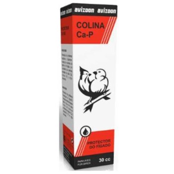 Avizoon colina Ca-P για ηπατικά προβλήματα 30ml Avizoon colina Ca-P για ηπατικά προβλήματα 30ml