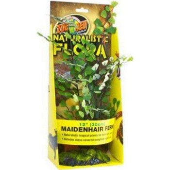 Croci Zoo med Naturalistic flora διακοσμητικό φυτό Croci Zoo med Naturalistic flora διακοσμητικό φυτό