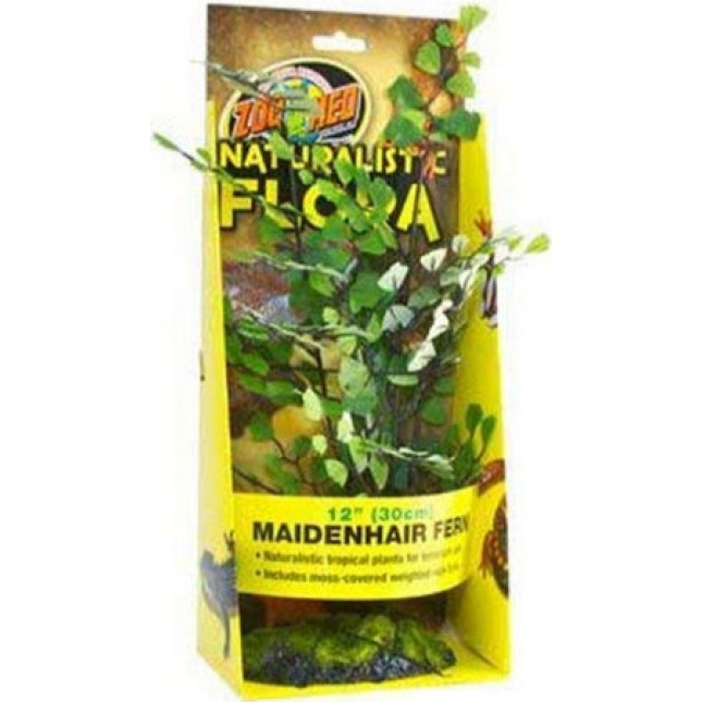 Croci Zoo med Naturalistic flora διακοσμητικό φυτό Croci Zoo med Naturalistic flora διακοσμητικό φυτό