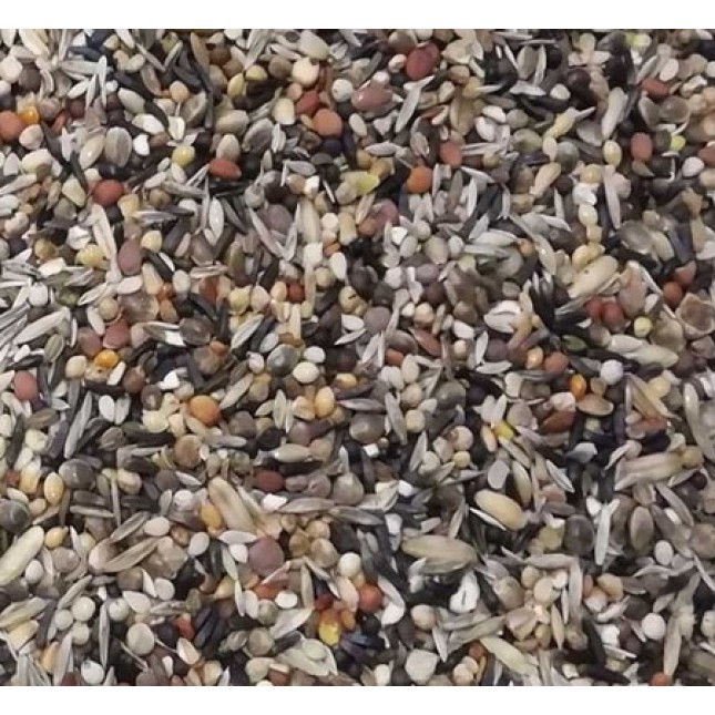 Professional mix σπόροι conditioning seeds 500gr χύμα Professional mix σπόροι conditioning seeds 500gr χύμα
