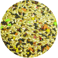 Professional mix κελαιδίνη 4 εποχές - 4 seasons για καναρίνια 1kg