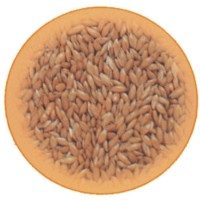 Κεχρί εισαγωγής 1kg