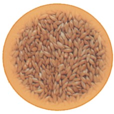 Κεχρί εισαγωγής 1kg Κεχρί εισαγωγής 1kg