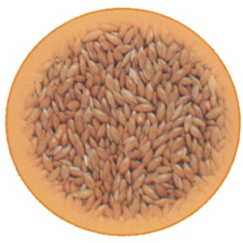 Κεχρί εισαγωγής 1kg