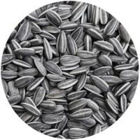 Ηλιόσπορος ψιλός για ωδικά πτηνά 750gr