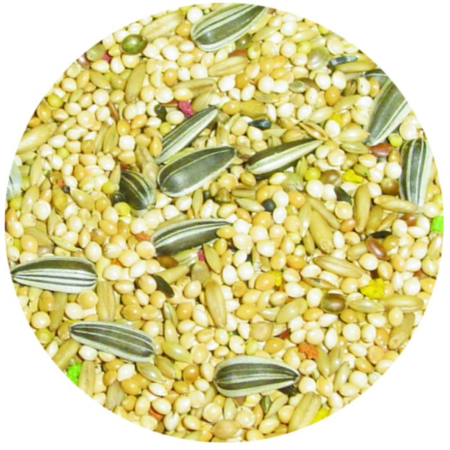 Professional mix premium parakeet 1kg χύμα