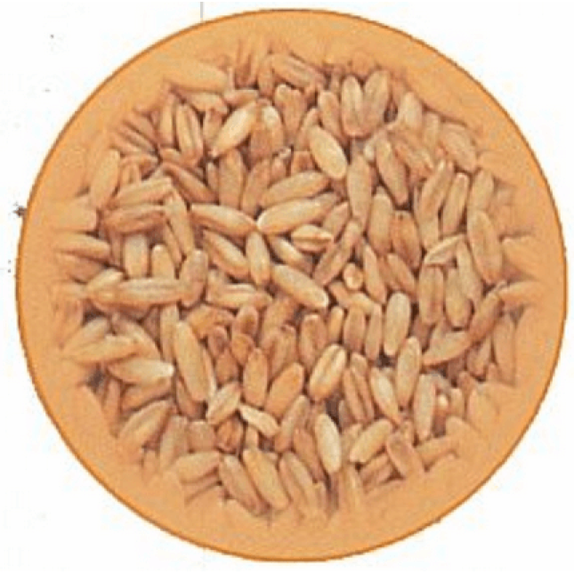 Puik βρώμη για ωδικά 1kg Puik βρώμη για ωδικά 1kg
