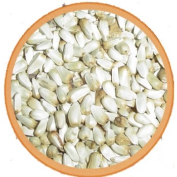 Cardi - ηλιόσπορος άσπρος ψιλός τροφή για πτηνά 1kg