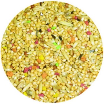 Voskes Millet Mixture για μικρά παπαγαλάκια 1kg χύμα Voskes Millet Mixture για μικρά παπαγαλάκια 1kg χύμα